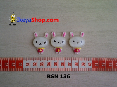 rsn 136  large2